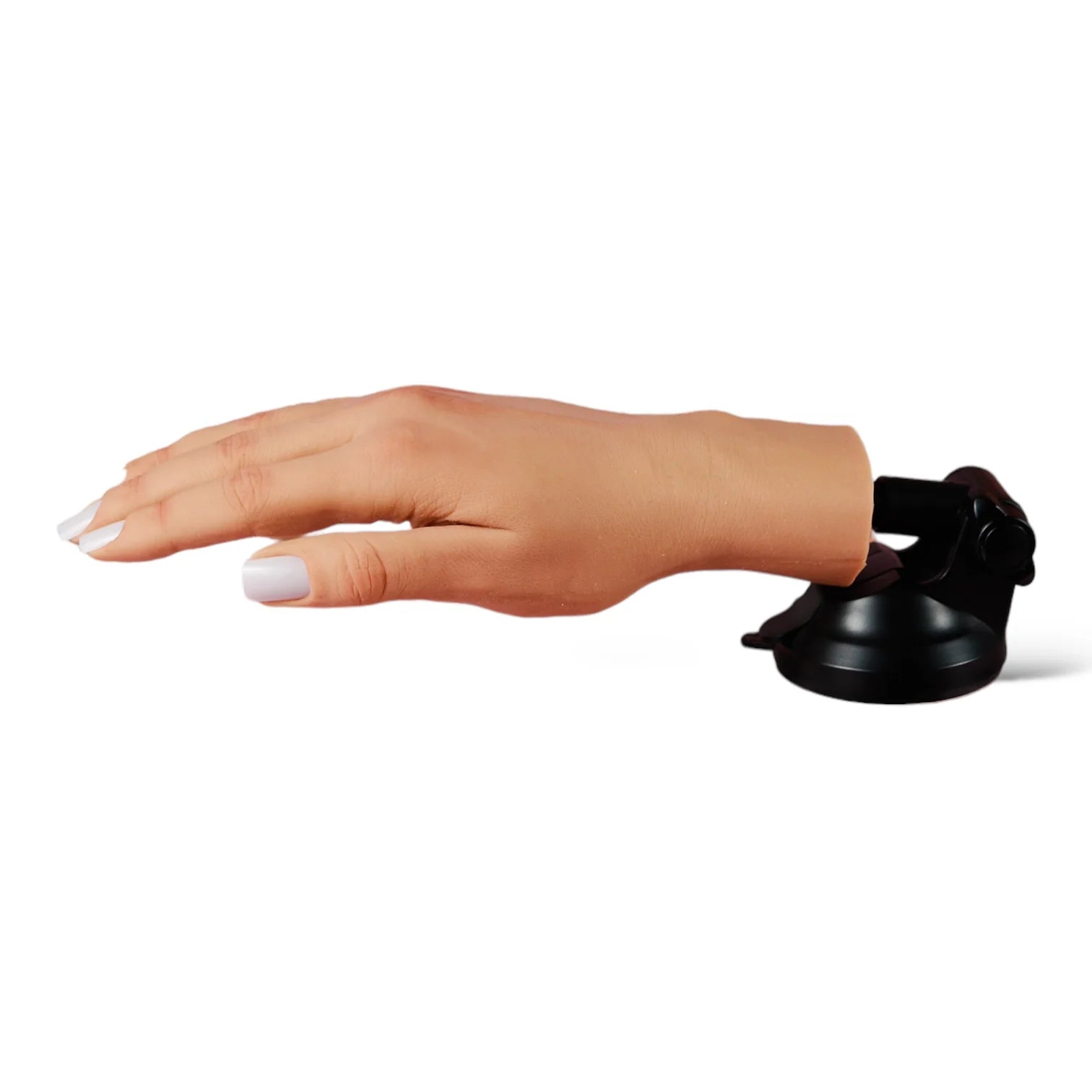 2-IN-1 Stand