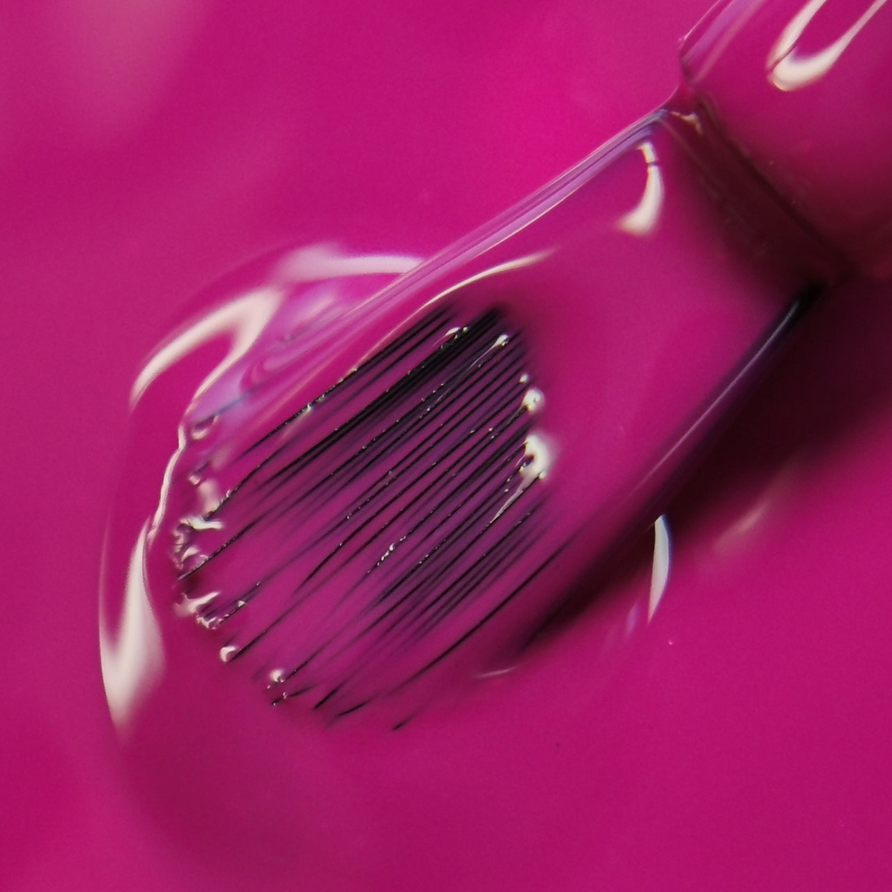 Wrath Dark Fuchsia