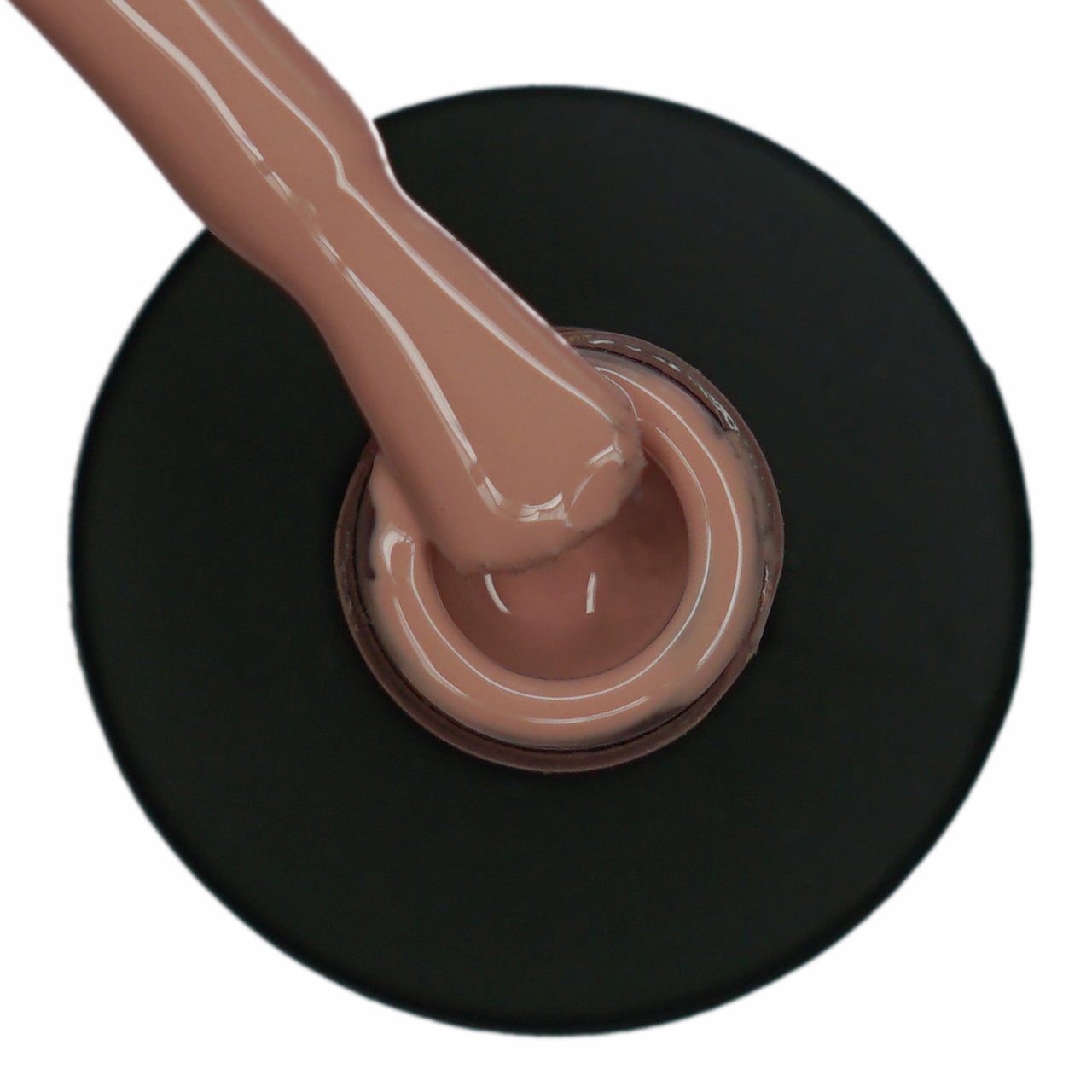 Scucci