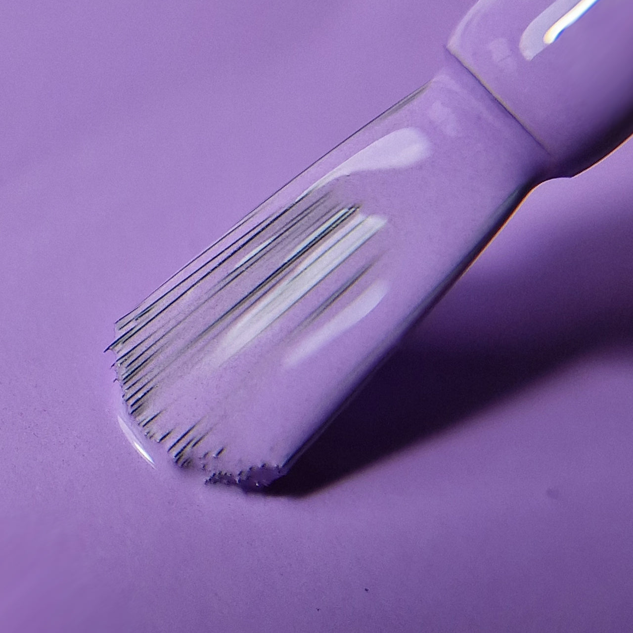 CORSO e 6 SMALTI in OMAGGIO