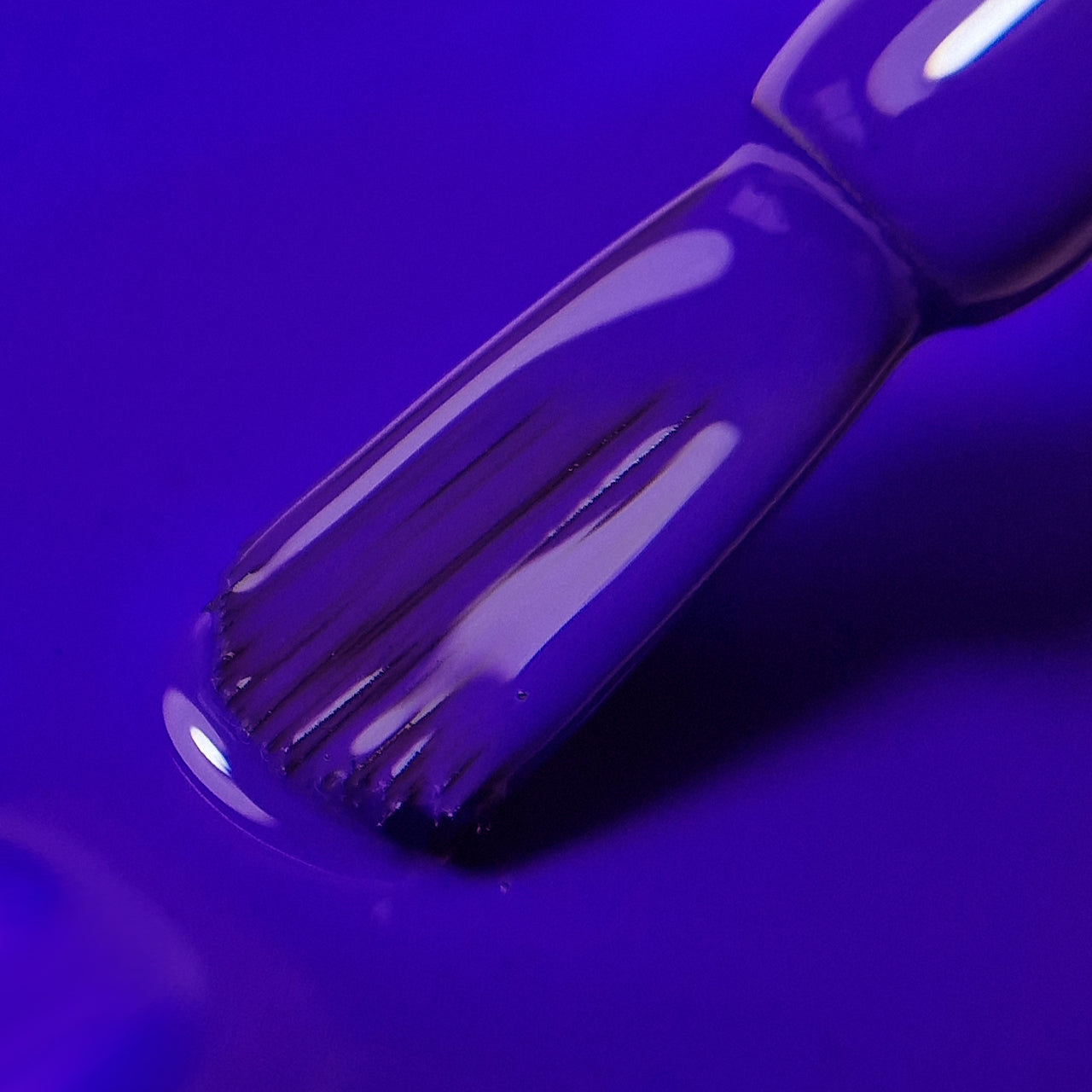 CORSO e 6 SMALTI in OMAGGIO